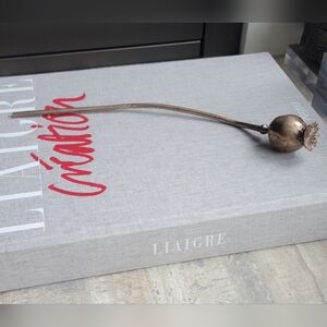 Cast Bronze Poppy Pod Botanical Decorative Object